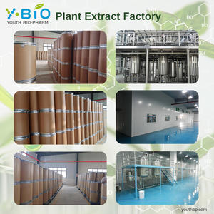 Integratore Proteico <span class=keywords><strong>BCAA</strong></span> 2:1:1 in Polvere 5g per Giovani e Adulti, Bevanda Energetica per Migliorare la Resistenza, Supporto Muscolare, Grado Alimentare <span class=keywords><strong>25kg</strong></span> - Product Image 6