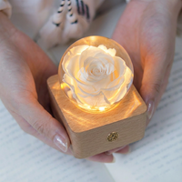 Lampe sphérique en résine de jardin miniature avec fleurs séchées réelles, style forêt enchantée, décoration pour fête sur le thème des contes de fées, cadeau