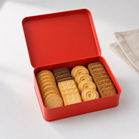Boîte métallique à charnière personnalisée pour cadeaux, artisanat, biscuits, autocollants, cosmétiques, rangement, emballage rectangulaire en étain, vente en gros, OEM