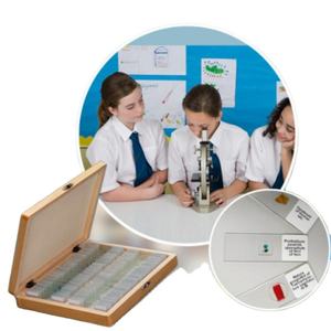 उच्च गुणवत्ता वाले विज्ञान शिक्षण अनुसंधान संयंत्र जड़ों/उपस्भाग/बीज तैयार वनस्पति विज्ञान माइक्रोस्कोप स्लाइड - Product Image 5