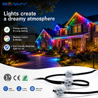 Tube lumineux à pixels RGB 30 mm 12V 24V WS2811 LED adressable, éclairage extérieur permanent pour avant-toit, lumières de Noël intelligentes à changement de couleur