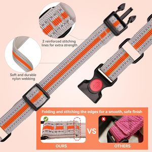 QDYU Juego de Correa Reflectante Acolchada de Neopreno Suave Ecológica con Hebilla de Seguridad y Collar Martingale de Nailon para Reptiles, Naranja y XS - Product Image 5