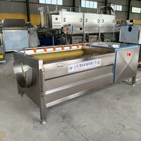 Machine de nettoyage commerciale à rouleaux brosse pour légumes-racines (pommes de terre, carottes, patates douces, manioc, gingembre)