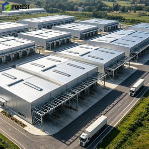 Parque Logístico de Estructura de Acero, Nave de Carga Robusta y de Alta Precisión, Almacenamiento en Racks de Alta Resistencia, Listo para Usar - Product Image 1