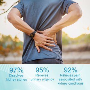 Grosir gratis pengiriman klip titik perawatan ginjal untuk Acuppresure Terapi magnetik untuk meningkatkan kesehatan ginjal - Product Image 2