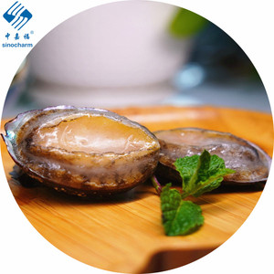 Fournitures pour étagères de haute qualité, sans coquilles d'abalone - Product Image 1