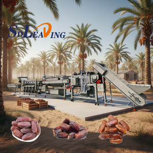 Machine de lavage de dattes, machine de lavage de dattes Kimia, ligne de machines de lavage et de séchage de pâte de dattes - Product Image 3