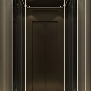 Ascensor de Pasajeros Moderno de Acero de 2, 3 y 4 Pisos, Elevador Hidráulico Seguro para Casa, Villa, Hotel y Uso Residencial - Product Image 2