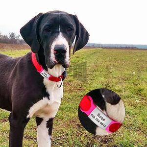 ป้ายชื่อสัตว์เลี้ยงสแตนเลสสตีลแบบกำหนดเองสำหรับสุนัขขนาด<span class=keywords><strong>เล็ก</strong></span> ป้ายชื่อสุนัขสลักชื่อ ไม่มีเสียงรบกวน อุปกรณ์เสริมสำหรับปลอกคอสุนัข - Product Image 3