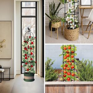 Treillis de jardin en métal pour plantes grimpantes Plantes d'intérieur en pot <span class=keywords><strong>Arche</strong></span> Treillis Supports pour plantes - Product Image 4