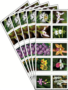 2020 Garden Corsage 2020 Contemporary Boutonniere Us Postage Floral Forever Mail 5 feuilles de 100 timbres autocollants Stock local - Product Image 4