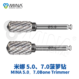 Mina Tandheelkundig Implantaat Pak Mini Bot Splitsen & Trimmer Gereedschapskit Roestvrij Staal Klasse I - Product Image 3