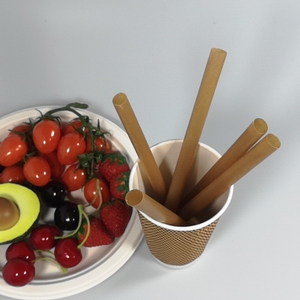 Fibre végétale <span class=keywords><strong>Paille</strong></span> <span class=keywords><strong>de</strong></span> bagasse <span class=keywords><strong>de</strong></span> canne à <span class=keywords><strong>sucre</strong></span> emballée individuellement Pailles biodégradables compostables <span class=keywords><strong>de</strong></span> canne à <span class=keywords><strong>sucre</strong></span> - Product Image 6