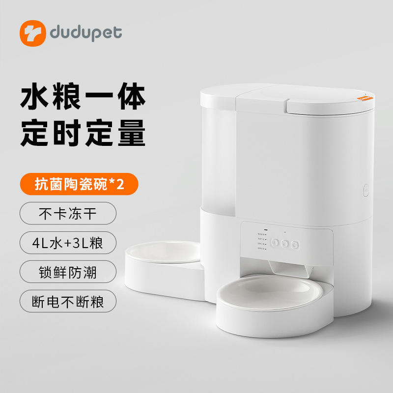 เวอร์ชันวิดีโอ