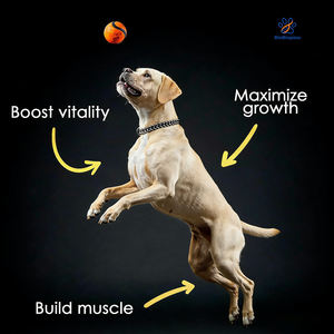 11'i 1 Arada Kas Geliştirici Çiğneme Tabletleri, Yüksek Protein ve Amino Asit İçeren Köpekler İçin Kilo Aldırıcı Takviye, Evcil Hayvanlar İçin Premium Kas Geliştirici Yumuşak Çiğneme Tabletleri - Product Image 5