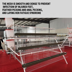<span class=keywords><strong>Cage</strong></span> à poulets de luxe commerciale en gros <span class=keywords><strong>d</strong></span>'usine avec structure en fil de fer durable, emballage en boîte, capacité de 50 lb - Product Image 6