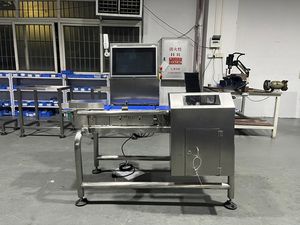 Kapsül ağırlığı kontrol makinesi kontrol konveyör 100g kantar fiyat - Product Image 5