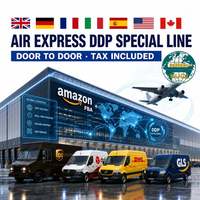Envío Aéreo Exprés DDP, Línea Especial con Impuestos Incluidos, Amazon FBA Puerta a Puerta, Reino Unido, Europa, EE. UU., Canadá, UPS, DPD, DHL, GLS, Transitario, Logística