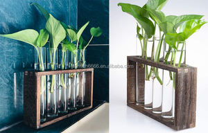 Stazione di Propagazione Piante 2022, Vaso Tubolare in Legno <span class=keywords><strong>da</strong></span> Appendere, Fioriera in Vetro, Supporto per Terrario - Product Image 3