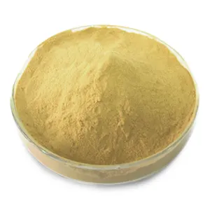 china high quality raw materials brewer yeast power for enhance probiotics nutritional rich