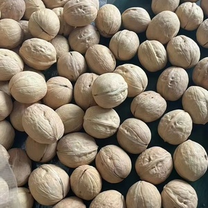 <span class=keywords><strong>Noix</strong></span> de Grenoble Biologiques Séchées Brutes, Aliment Nutritif en Sachet - Product Image 3