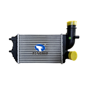 TONGSHI OEM 1307012080 Système de refroidissement automobile <span class=keywords><strong>Intercooler</strong></span> de moteur pour <span class=keywords><strong>JUMPER</strong></span> BOX/BUCATO BUS 230 - Product Image 1