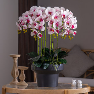 Piante di Orchidea Artificiali in PEVA Effetto Reale con Vaso <span class=keywords><strong>per</strong></span> Decorazione d'Interni - Product Image 3