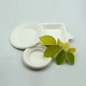 Bán buôn tùy chỉnh giấy trắng khay <span class=keywords><strong>100</strong></span> đếm giấy dùng một lần thực phẩm tấm khay không tráng Trắng Giấy tấm - Product Image 1