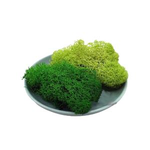 Plantes vertes artificielles de haute qualité pour décoration murale et aménagement paysager en arrière-plan - Product Image 6