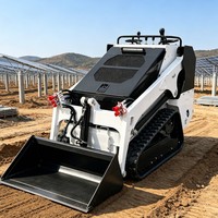 Minipala caricatrice Euro5 certificata EPA con supporto per serbatoi di carburante multipli per lavori agricoli e di costruzione.