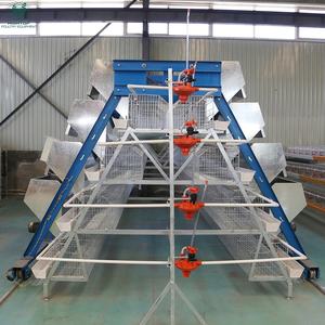 Conception moderne la plus populaire ferme de volailles de poulet de l'Ouganda 10000 5000 cages de poules pondeuses de poules pondeuses - Product Image 5