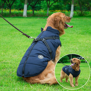 jackets for labradors