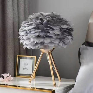 Bán Buôn Bắc Âu Đơn Giản Lông Bảng Ánh Sáng Phòng Khách Phòng Ngủ Hiện Đại Chiếu Sáng Nội Thất Đèn Bàn - Product Image 2