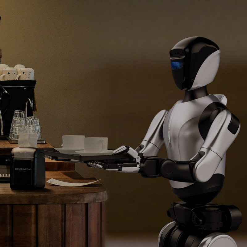 Robotic Waiter Hotel Restaurant Service Robot ROBOTERA L7 Humanoid ...