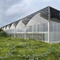 Zaagtandventilatiedak landbouwkas kit grote enkelspannings PE-folie bovenzijde geventileerd gegalvaniseerd stalen frame zijdelingse bovenzijde
