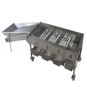 Máquina Clasificadora <span class=keywords><strong>de</strong></span> Frutas y Verduras, Clasificadora <span class=keywords><strong>de</strong></span> Naranjas, Limones, <span class=keywords><strong>Chufa</strong></span>, Patatas y Tomates - Product Image 2