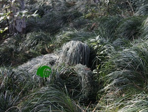 Tenue de camouflage toutes saisons réglable, ensemble Ghillie tactique pour la chasse en extérieur et l'exploration naturelle - Product Image 4