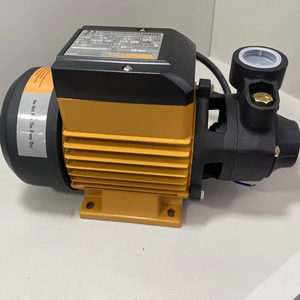 Pompa Periferica Elettrica da 0,5HP, Pompa <span class=keywords><strong>Acqua</strong></span> con Filo di Rame, Mini Pompa di Superficie Domestica di Alta Qualità - Product Image 2