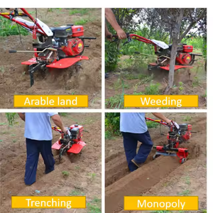<span class=keywords><strong>Motoculteur</strong></span> à essence de vente chaude 8-12hp <span class=keywords><strong>petit</strong></span> tracteur agricole à pied <span class=keywords><strong>motoculteur</strong></span> à essence rotoculteur désherbeur - Product Image 5