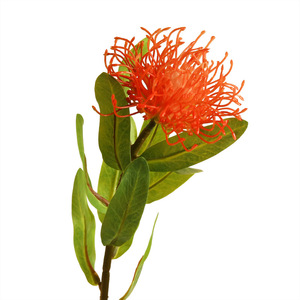 Yihua - Arte Floral, Flor Artificial de Seda, Decoración del Hogar, Estilo Moderno y Simple, Rojo, Naranja, Verde, Rosa, Blanco - Product Image 3