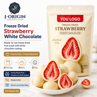 Fresas Liofilizadas con Chocolate Blanco, Dulce de Frutas Premium, 58g, 40 Bolsas, 12 Meses de Caducidad, Listo para Comer, OEM, Marca Privada