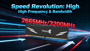 Оперативная память Faspeed DDR4 <span class=keywords><strong>ECC</strong></span> 8ГБ/16ГБ/32ГБ 3200МГц для настольных ПК/ноутбуков — низкая задержка, высокая пропускная способность, в наличии. Приветствуем индивидуальные заказы OEM/ODM. - Product Image 4