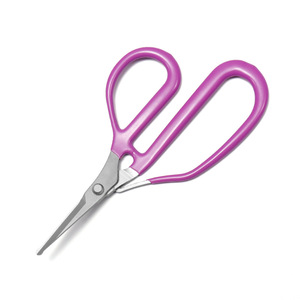 Jolies cisailles de jardinage en acier inoxydable violettes 2,5 mm pour le jardinage et la fleuristerie - Product Image 4