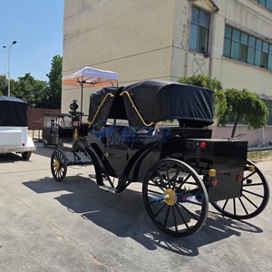 Best Selling Custom Black Electric Horse Carriage Rows Double Soft Canopy Retro Buggy For Theme Park Hotel Parade - Product Image 4