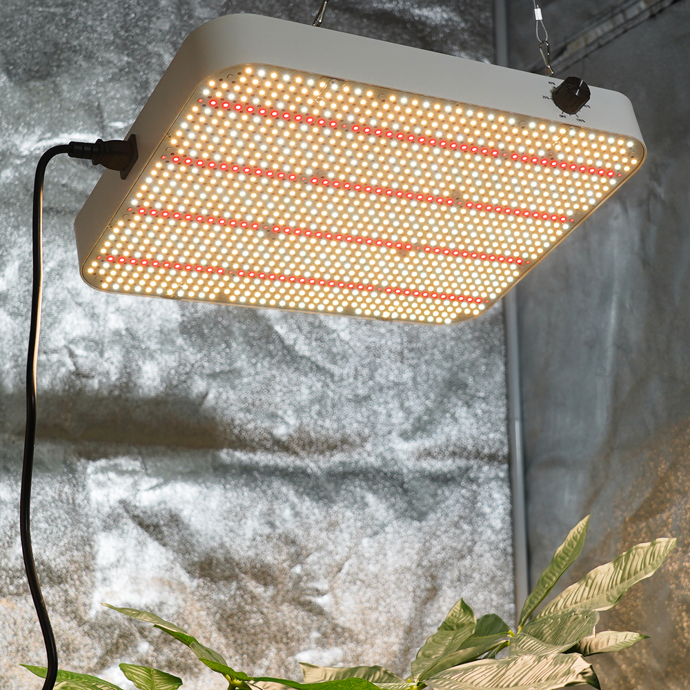 MeanWell-Driven 260W LM301H LED Grow Panels with Dual 660/730nm Spectrum for Veg/Bloom Cycle Optimization
