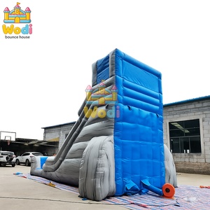 Toboggan gonflable d'intérieur pour centres de jeux, PVC ignifuge de 0,55 mm, sûr et compact pour les espaces restreints - Product Image 4