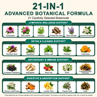 ArtoaLabs 120ml Complément Antioxydant Détoxifiant Soutien Immunitaire et Lymphatique Formule Botanique 21-en-1 Gouttes Liquides pour Drainage Lymphatique
