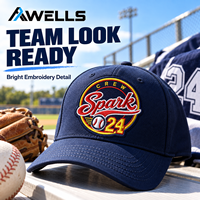 Écusson brodé personnalisé Baseball Crew Spark 24, emblème d'équipe pour vestes, casquettes, sacs et vêtements de sport AWELLS