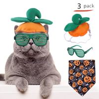 Maßgeschneiderte Halloween-Haustierkostüm-Accessoires, Haustier-Halloween-Cosplay-Kostüm, Haustier-Bandanas, Hüte, lustige Brillen für Partygeschenke