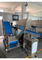 Machine d'emballage et de manutention de matériaux non organisés YH pour le tri, le comptage et l'emballage de sachets et de sachets stick en boîte, machine de cartonnage